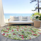 addison chantille acn1816 aloe rug