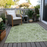addison chantille acn1833 aloe rug