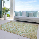 addison chantille acn1834 sage rug