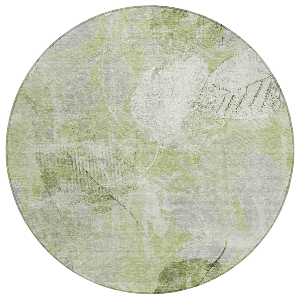 addison chantille acn1850 aloe rug