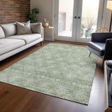addison chantille acn1858 aloe rug