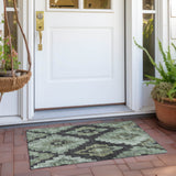 addison chantille acn1894 aloe rug