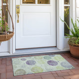 addison chantille acn1897 aloe rug