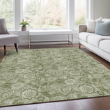addison chantille acn1939 aloe rug