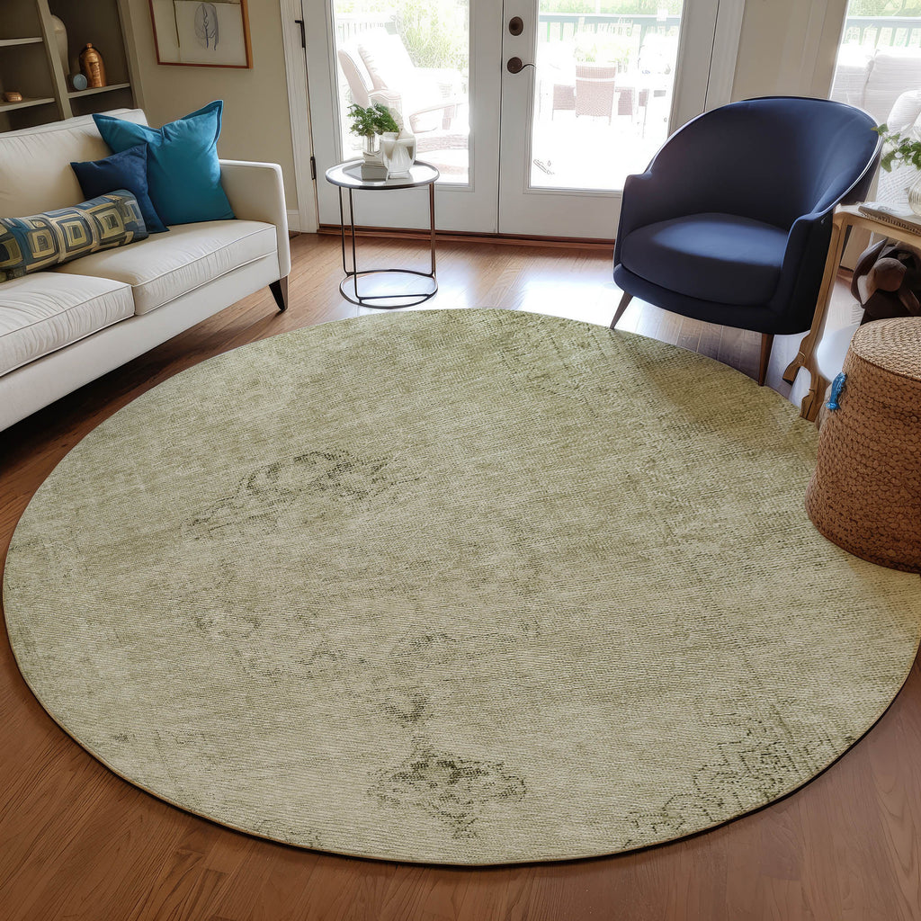 addison chantille acn658 beige rug