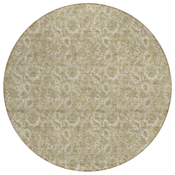 addison chantille acn662 beige rug