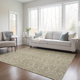 addison chantille acn662 beige rug