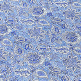 addison chantille acn662 blue rug