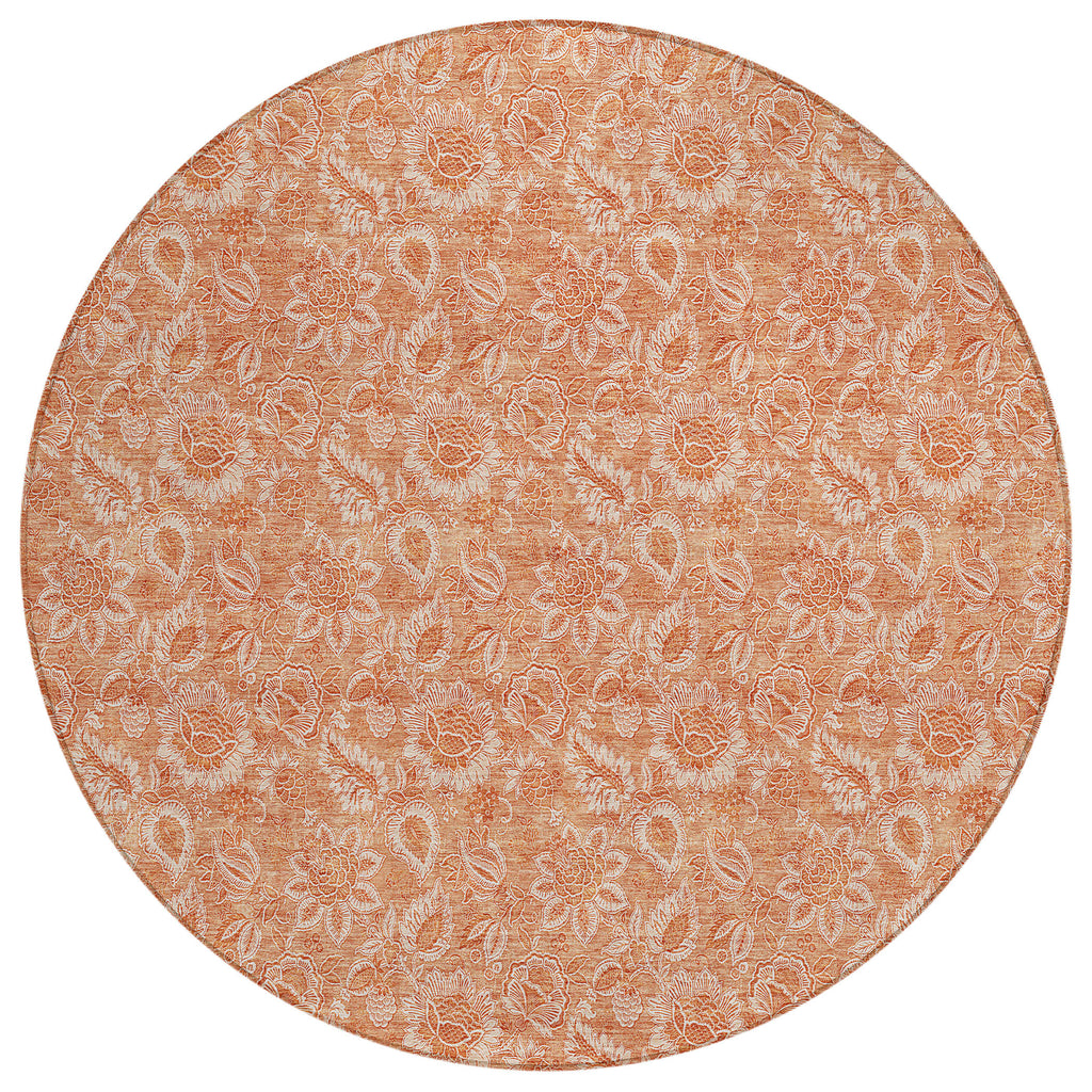 addison chantille acn662 salmon rug