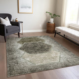 addison chantille acn679 taupe rug