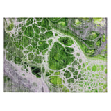 addison chantille acn682 lime rug
