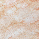 addison chantille acn699 coral rug