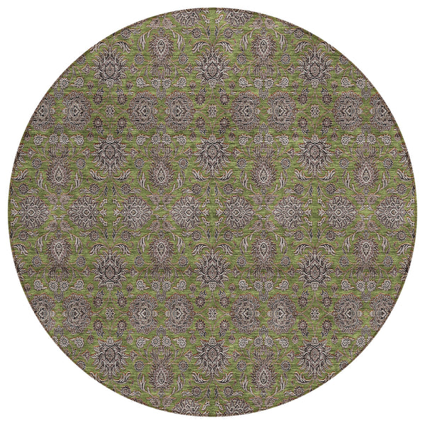 addison chantille acn702 olive rug