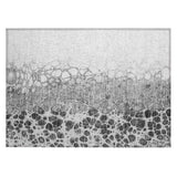 addison chantille acn707 gray rug
