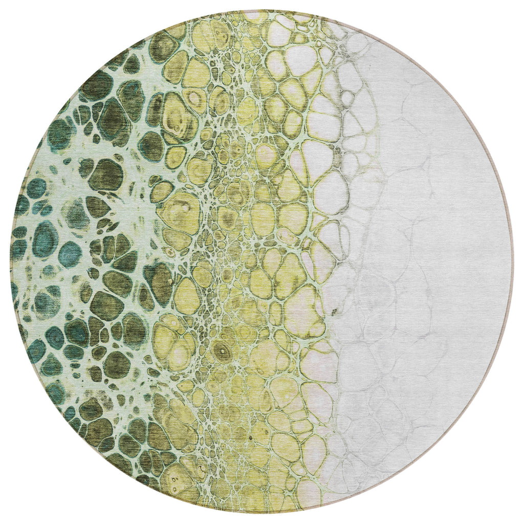 addison chantille acn707 olive rug