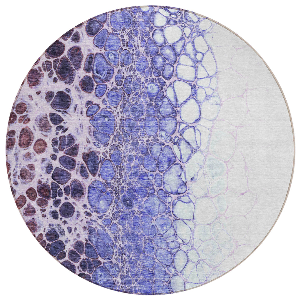 addison chantille acn707 purple rug