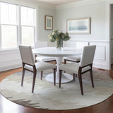 addison chantille acn736 taupe rug