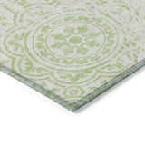addison chantille acn758 aloe rug