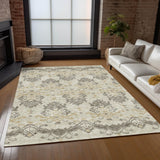 addison chantille acn759 beige rug