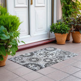 addison chantille acn763 silver rug