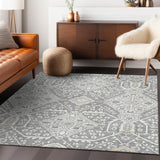 addison chantille acn863 gray rug