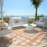 addison chantille acn869 coral rug