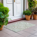 addison chantille acn877 aloe rug