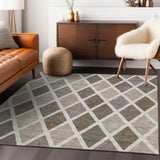 addison chantille acn887 beige rug