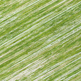 addison chantille acn896 green rug
