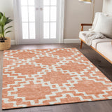 addison chantille acn902 salmon rug
