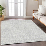 addison chantille acn919 silver rug