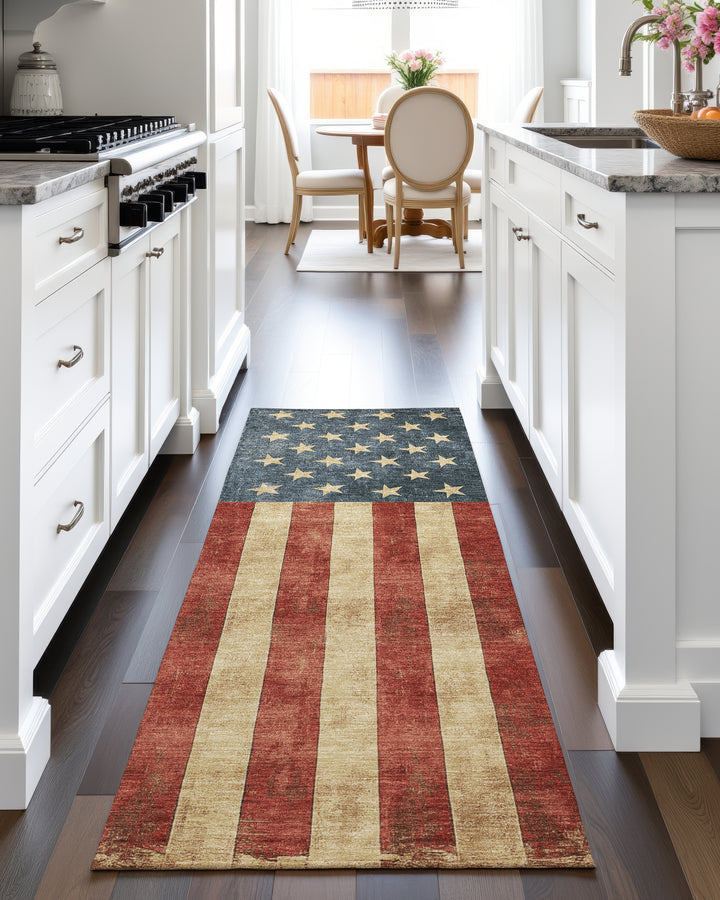 dalyn americana am1 red rug