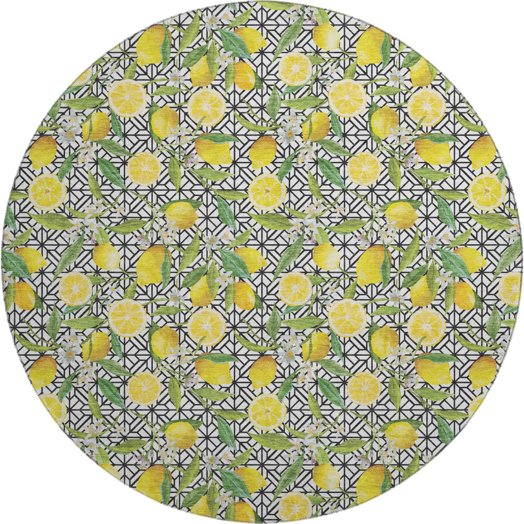 addison mayfield amf160 yellow rug