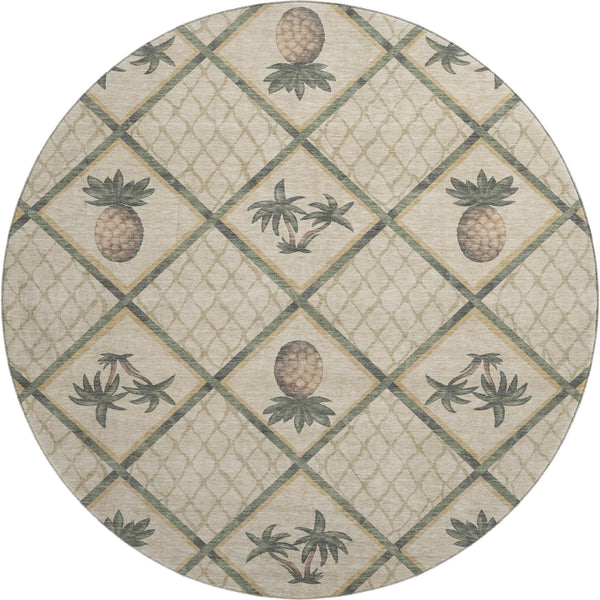 addison mayfield amf162 palm rug
