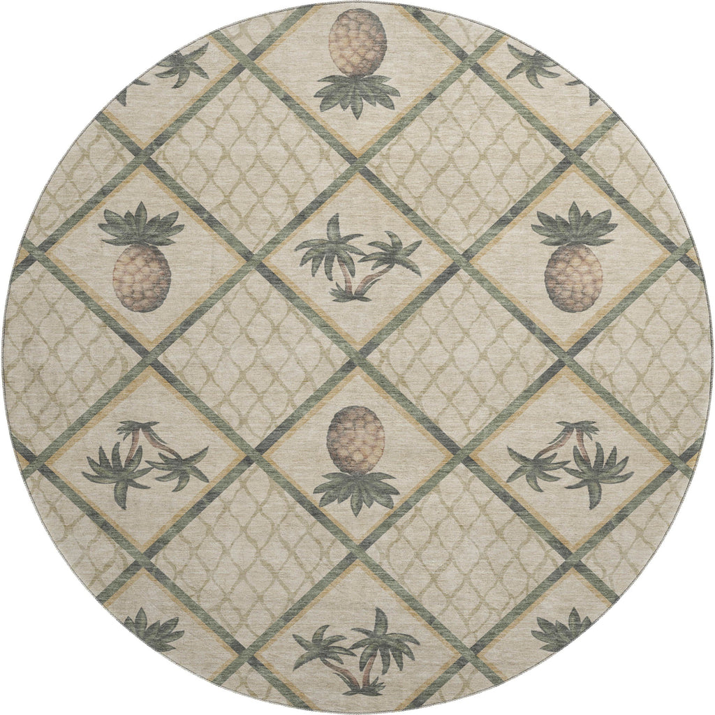 addison mayfield amf162 palm rug