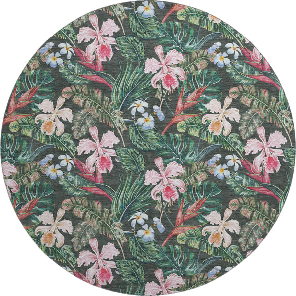 addison mayfield amf201 midnight rug