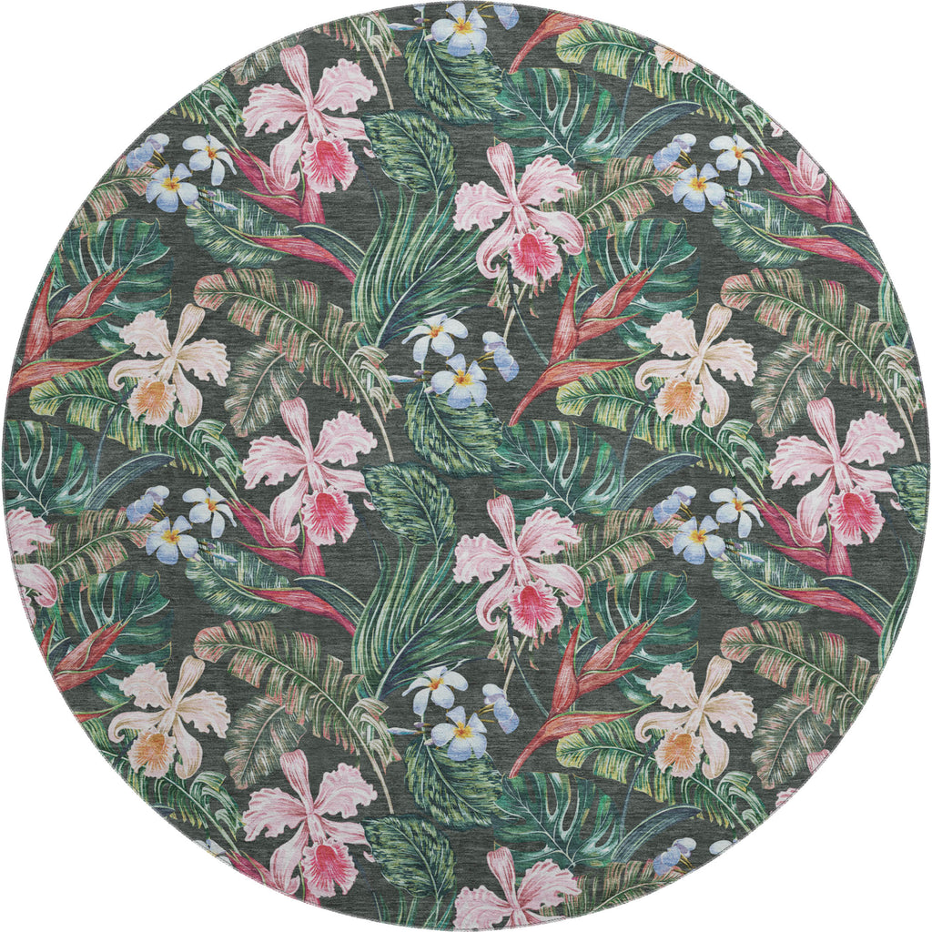 addison mayfield amf201 midnight rug