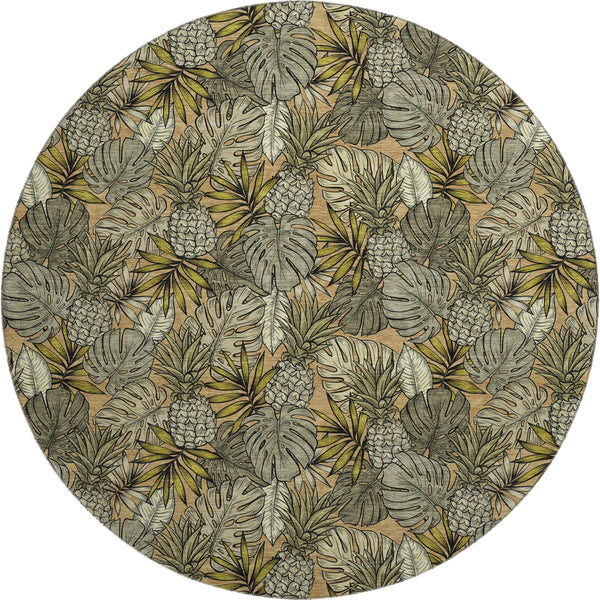 addison mayfield amf206 baja rug