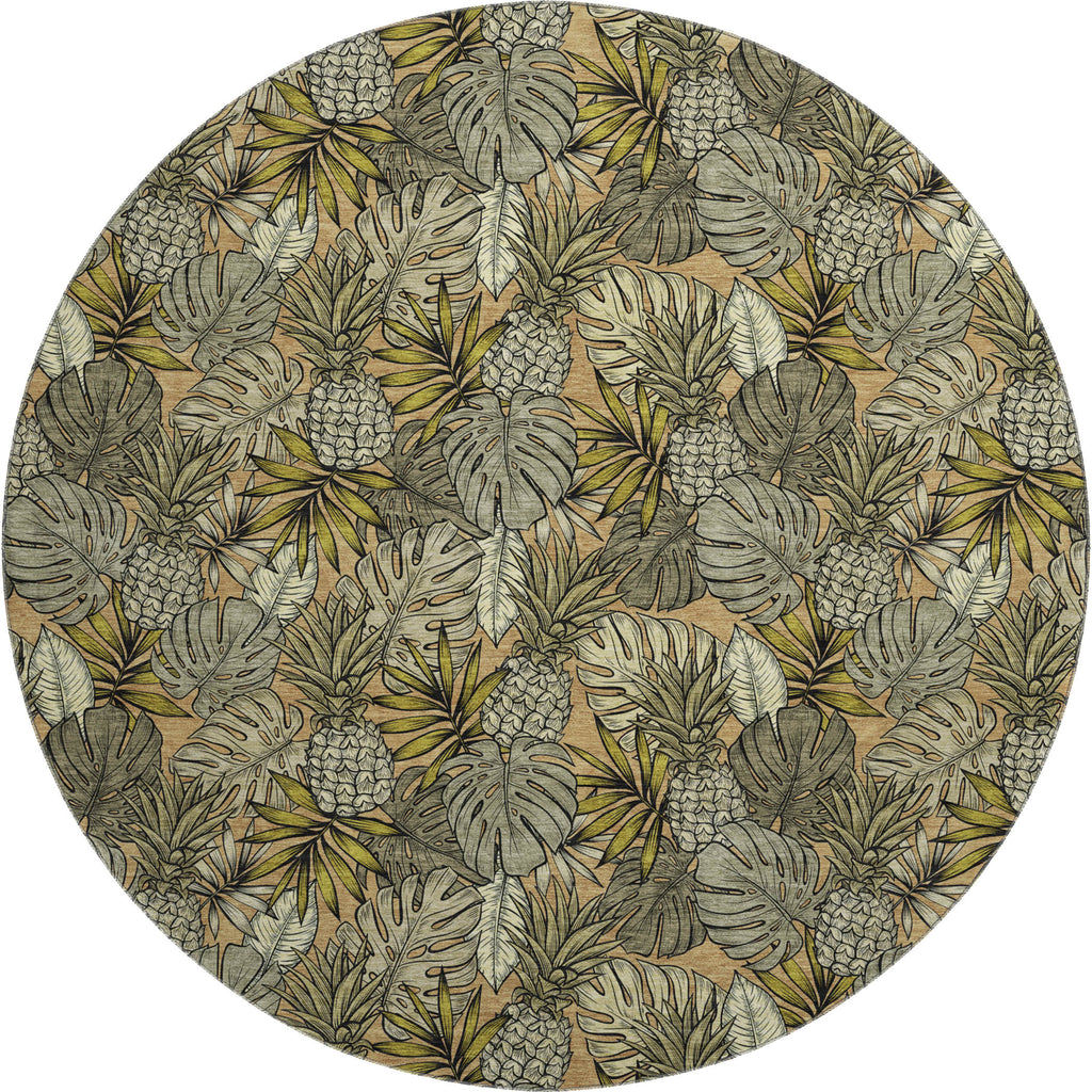 addison mayfield amf206 baja rug