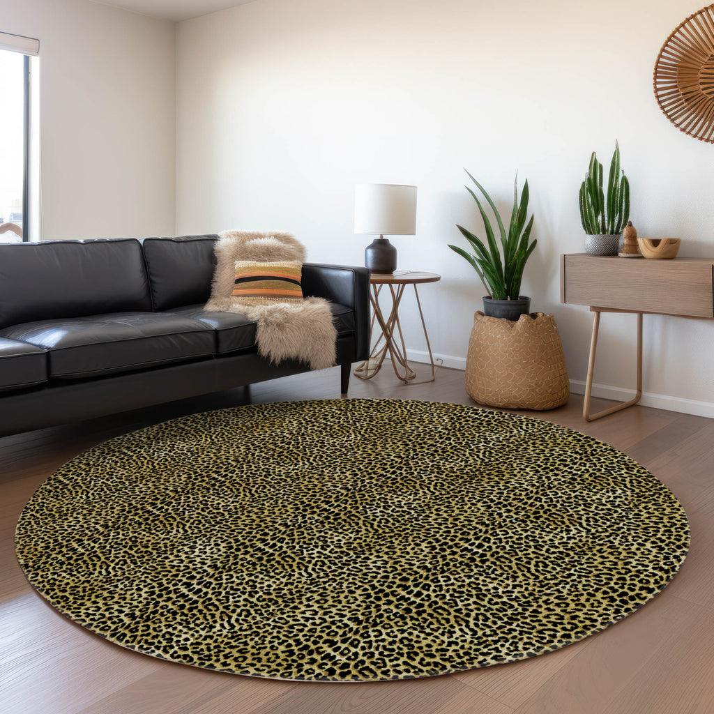 addison mayfield amf43 gilded rug