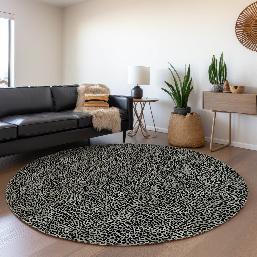 addison mayfield amf43 shadow rug