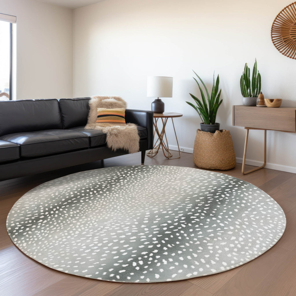 addison mayfield amf44 gray rug