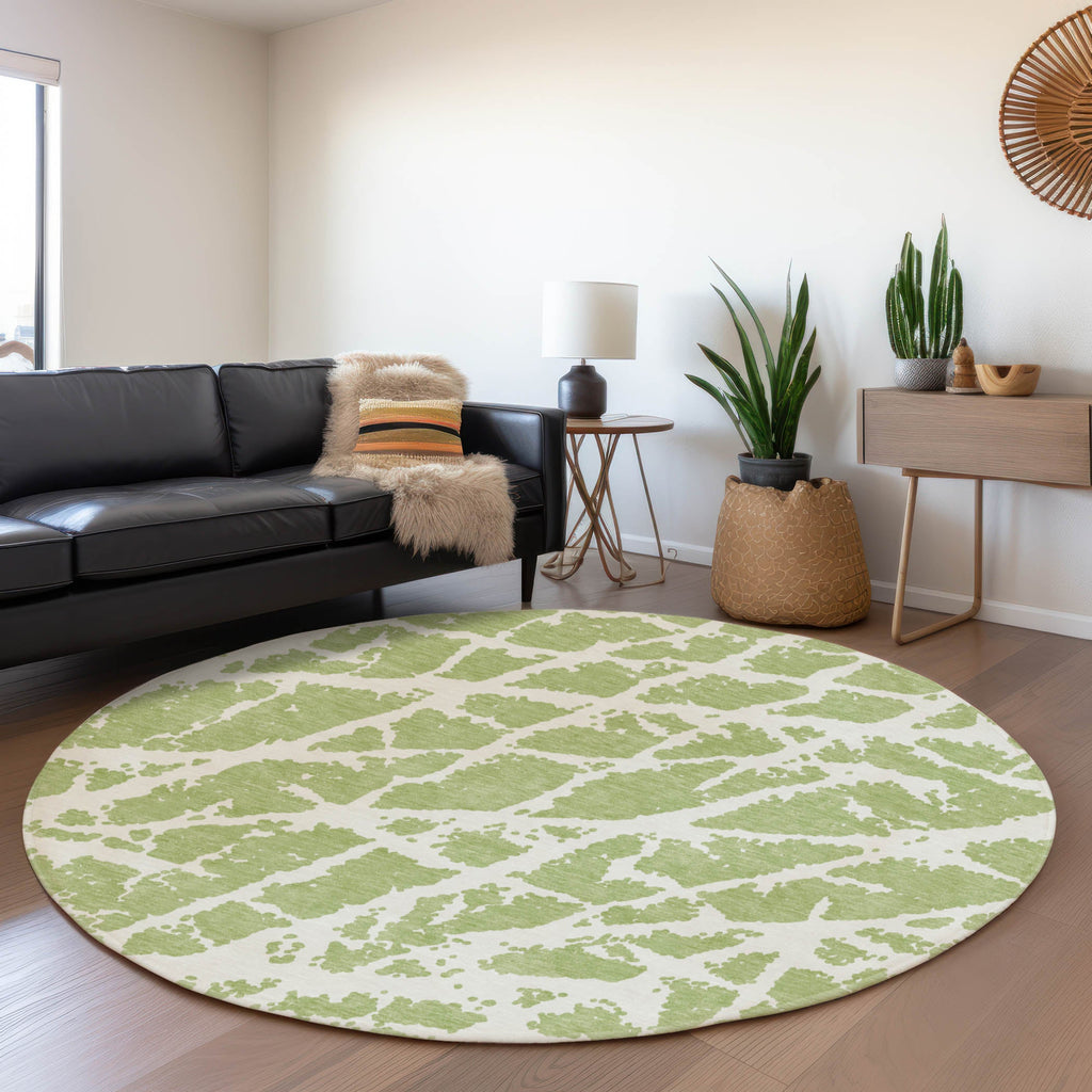addison mayfield amf501 aloe rug