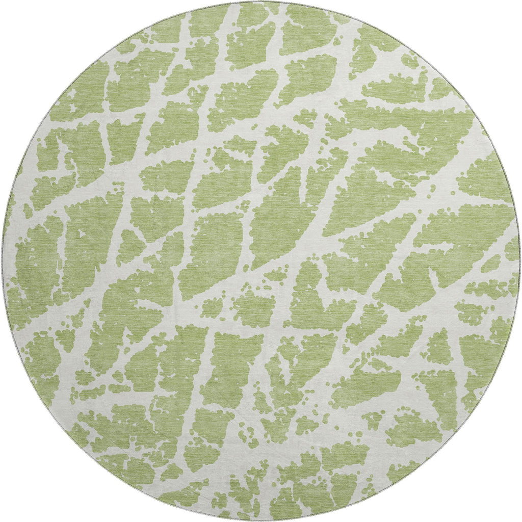 addison mayfield amf501 aloe rug