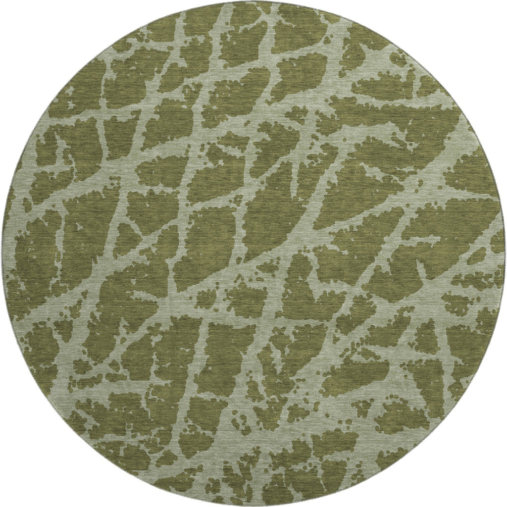 addison mayfield amf501 olive rug