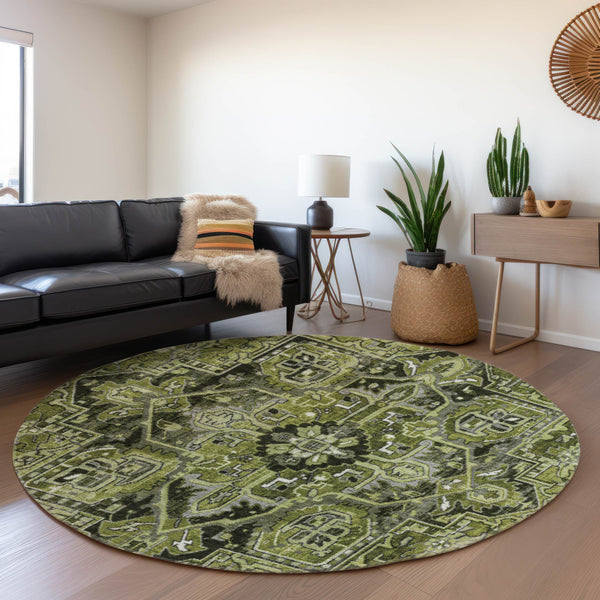 addison mayfield amf570 olive rug