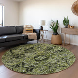 addison mayfield amf570 olive rug
