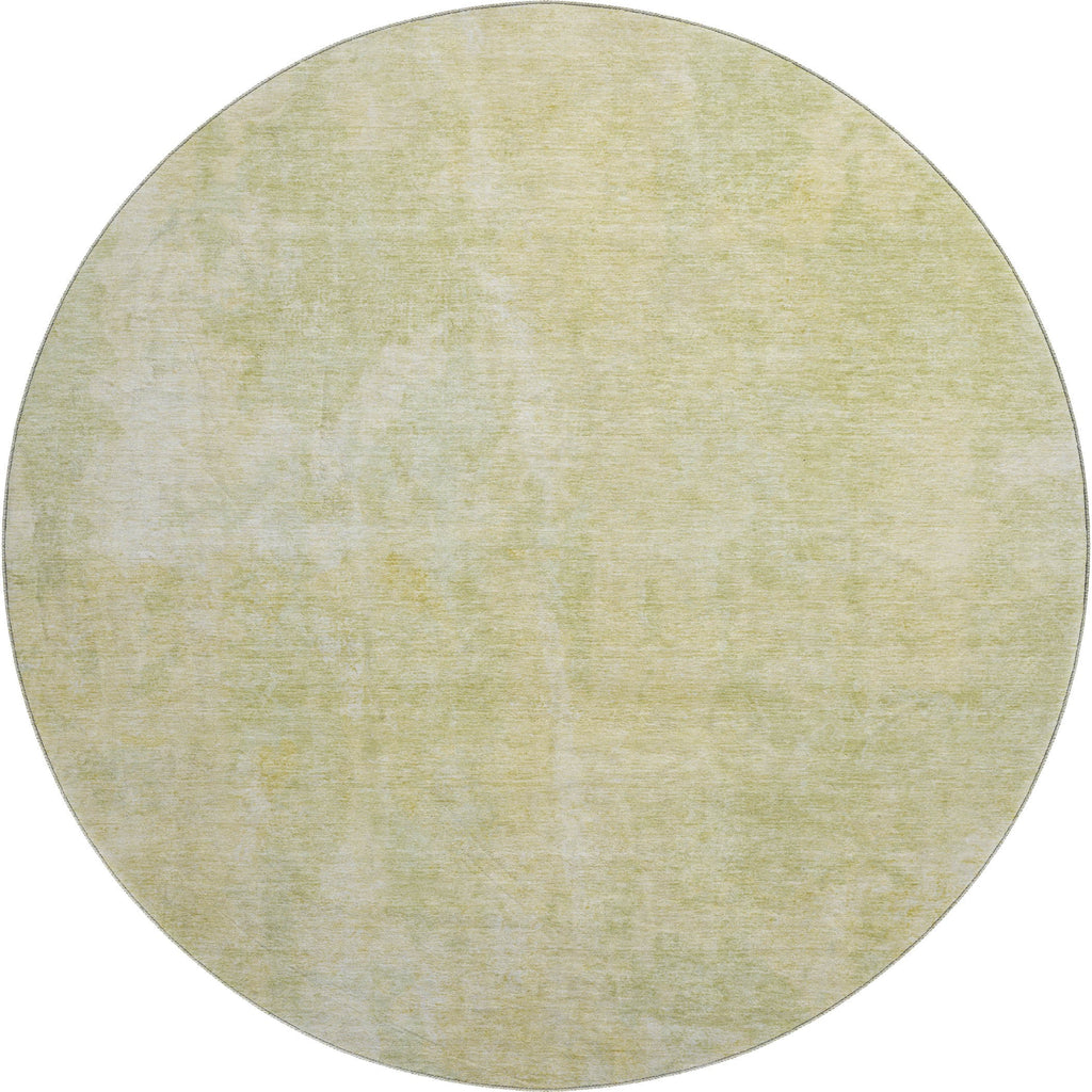 addison mayfield amf573 gold rug