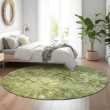 addison mayfield amf577 olive rug