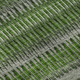 addison mayfield amf589 green rug